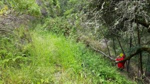 The dangerous slope on Hole 4 at DeLaveaga Park. Photo: Jack Tupp