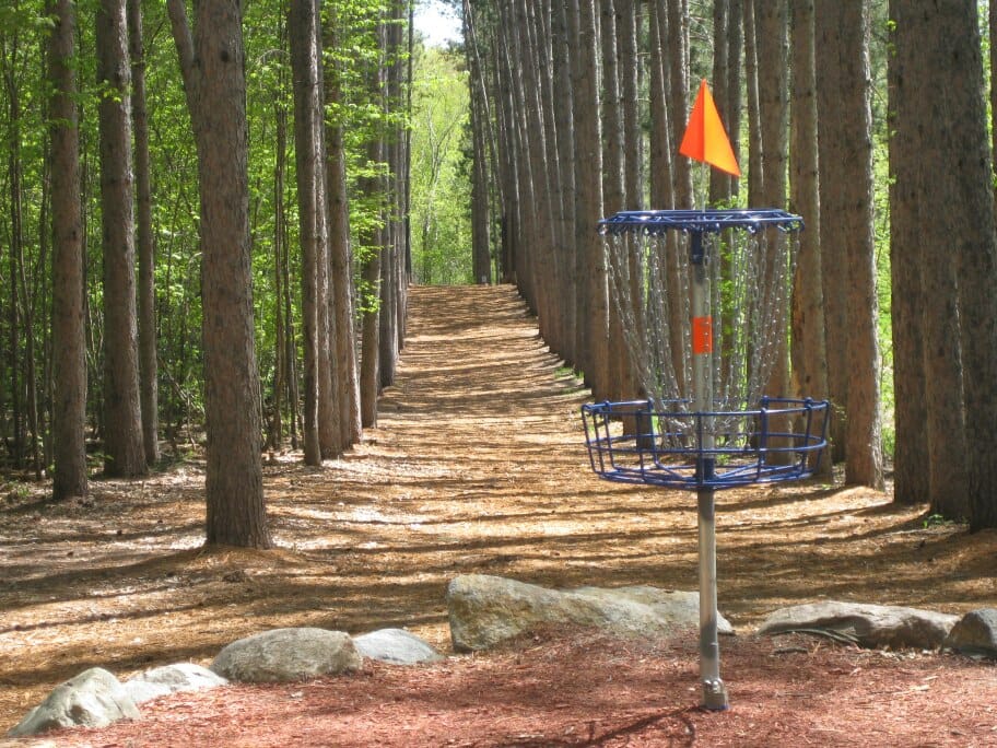 The signature Hole 4 at Blue Ribbon Pines in East Bethel, Minnesota. Photo: Blue Ribbon Pines Disc Golf Club