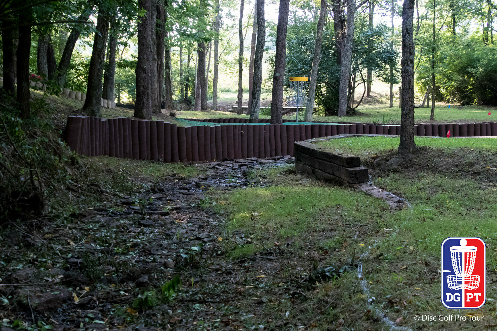 2023 LWS Open at Idlewild Preview: Welcome to the Woods - Ultiworld Disc  Golf