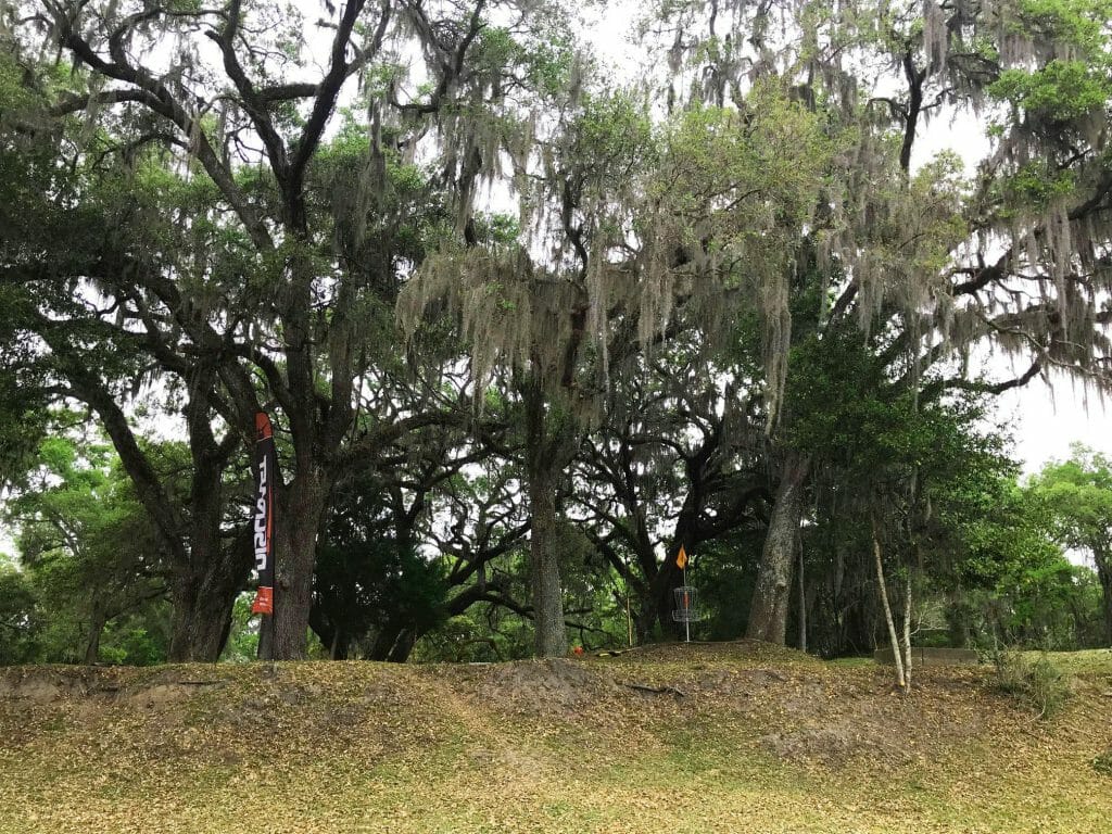 Dylan Cease - One Tree Planted