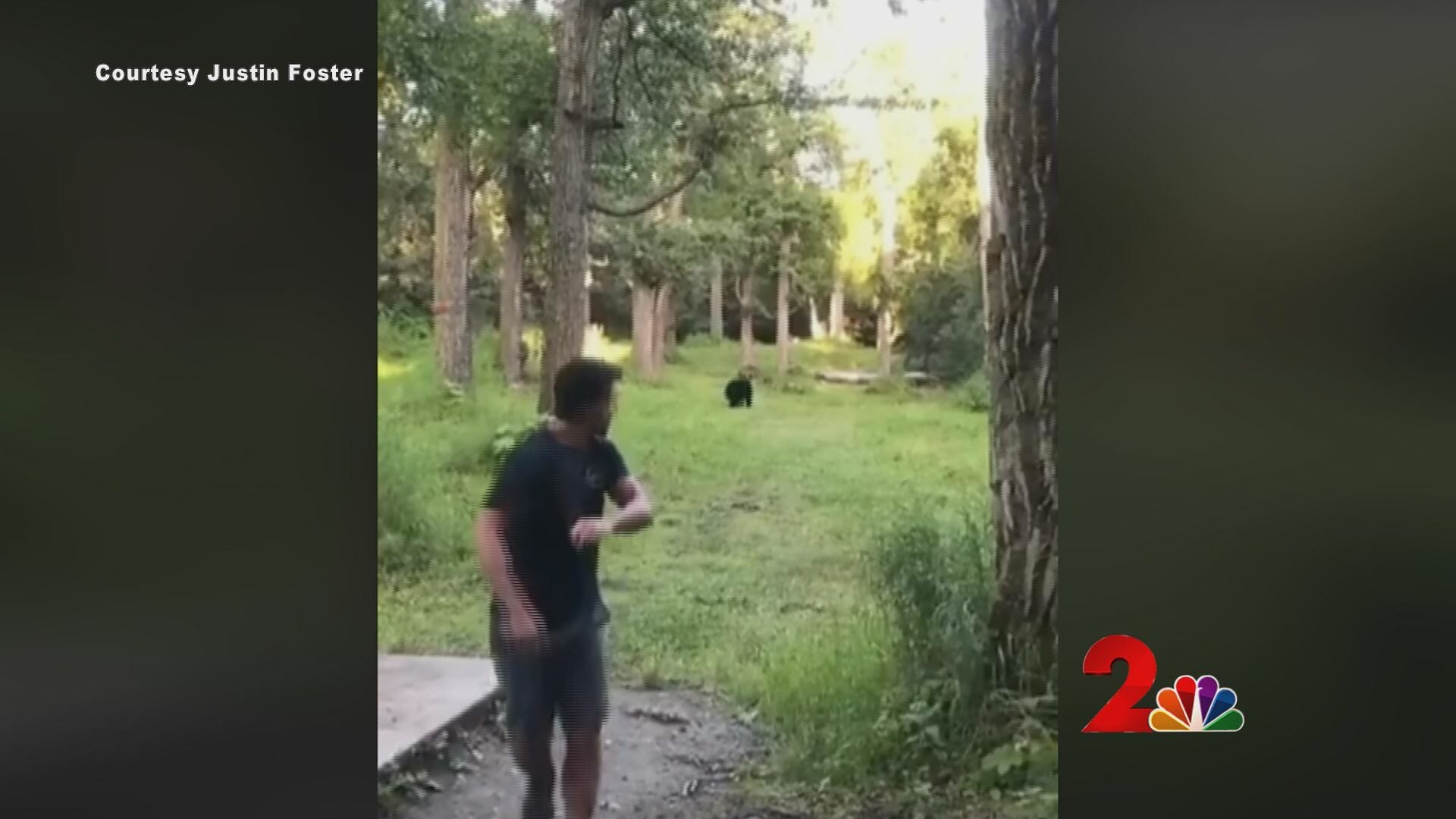 Alaska Man Unfazed By Bear In Fairway Throws Disc Anyway Livewire alaska-man-unfazed-by-bear-in-fairway-throws-disc-anyway-livewire