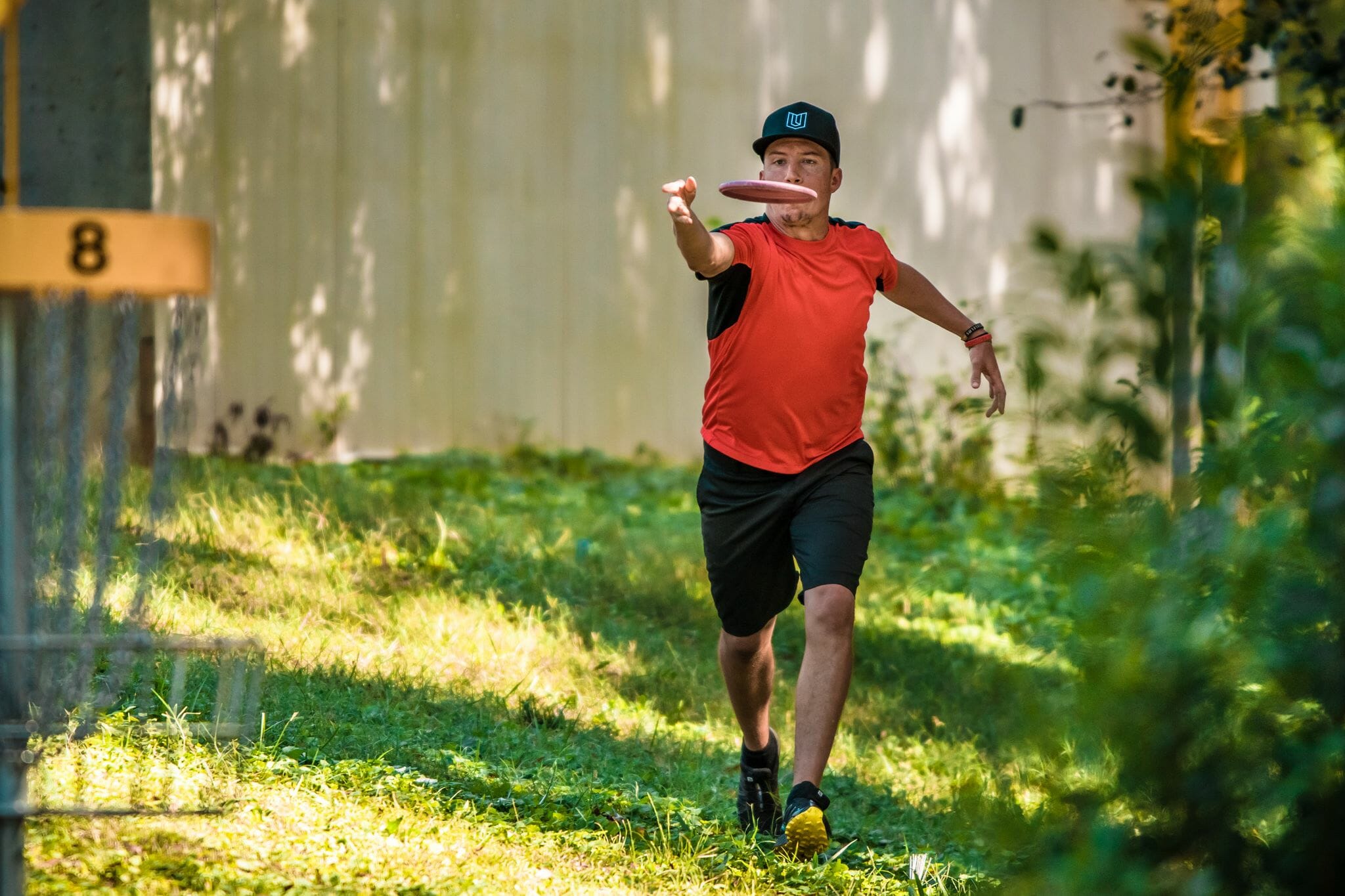 prodigy disc golf