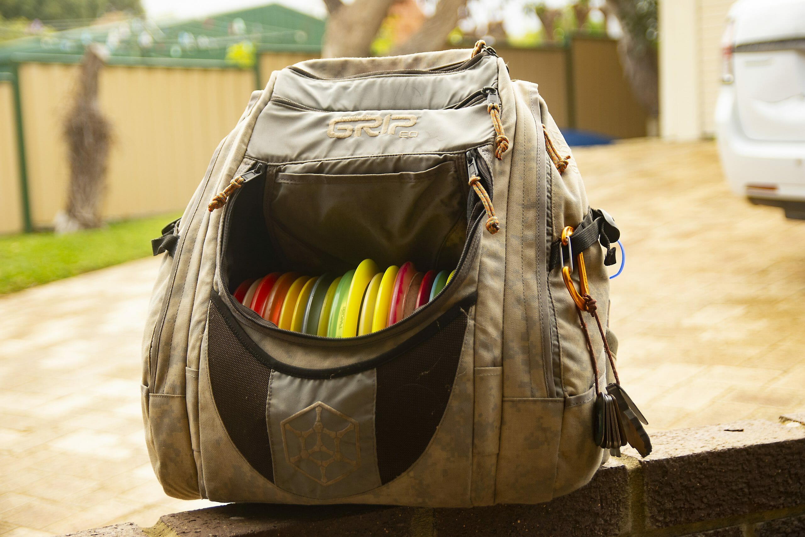 Frisbee backpack clearance