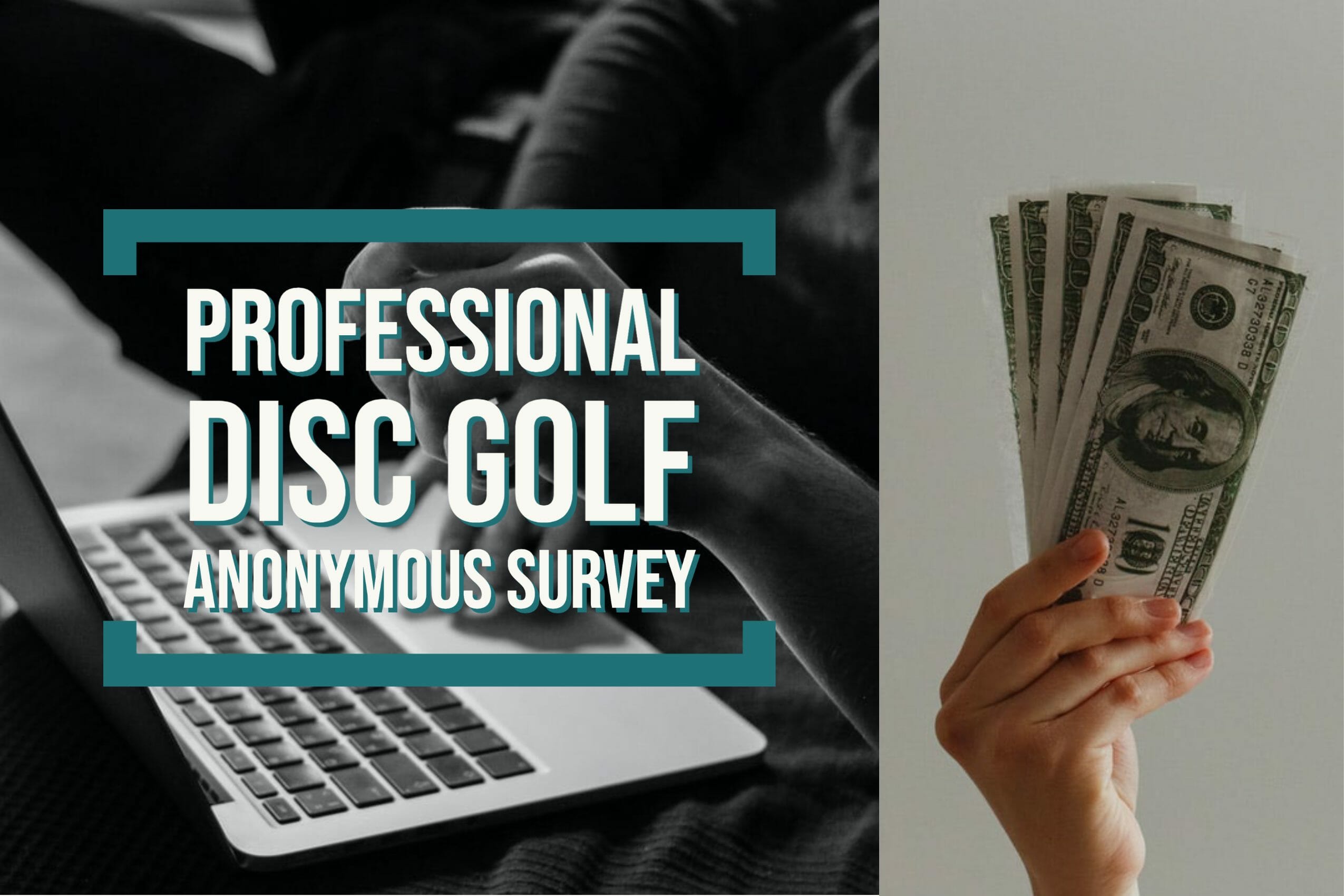 Professional Disc Golf Anonymous Survey Money photo