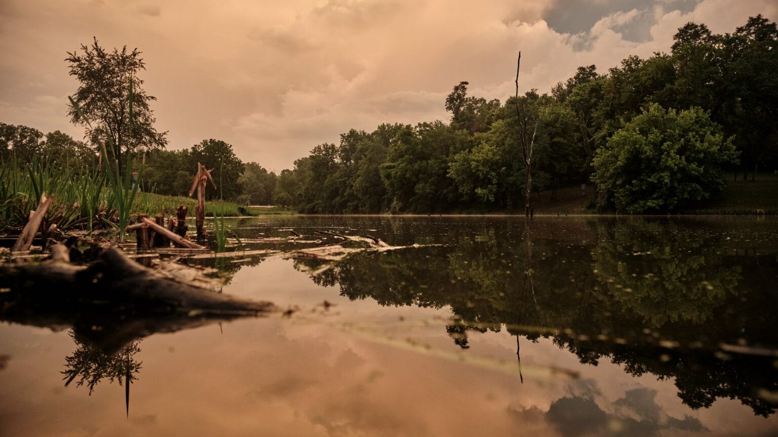 The Top 10 Storylines Of The 2022 Lws Open At Idlewild Ultiworld Disc