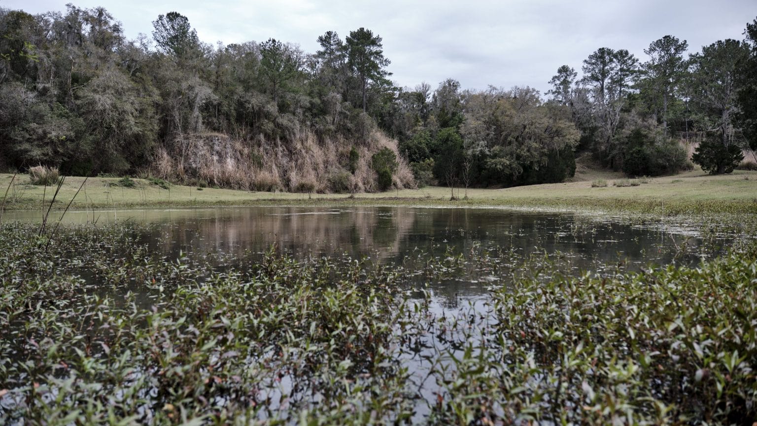 2024 DGPT AllStar Weekend Preview Back! Ultiworld Disc Golf