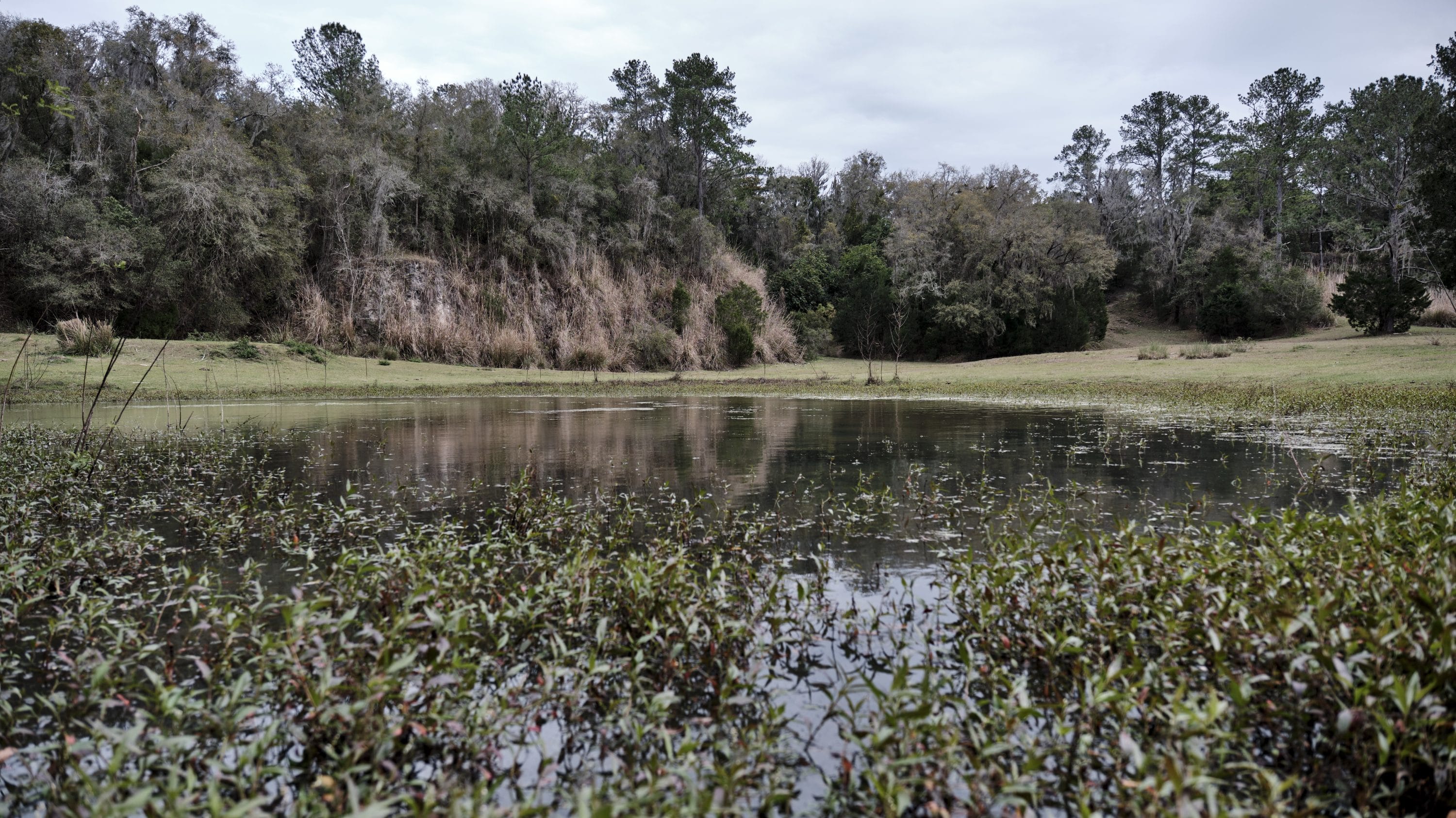 2024 AllStar Disc Golf Event Preview Olympus Disc Golf Course in