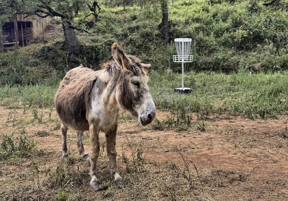 A common scene at Valle de Encanto in Portugal.